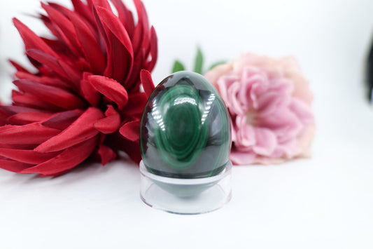 Polished Banded Malachite Egg - 227g - Positive Faith Hope Love