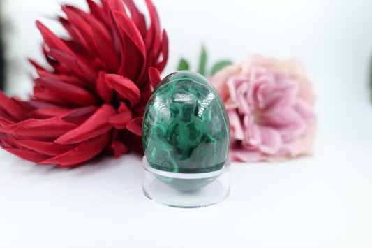 Polished Banded Malachite Egg - 227g - Positive Faith Hope Love