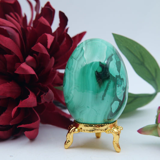 Polished Polished Banded Malachite Egg 260G featuring banded green patterning and silky polish - Positive Faith Hope Love
