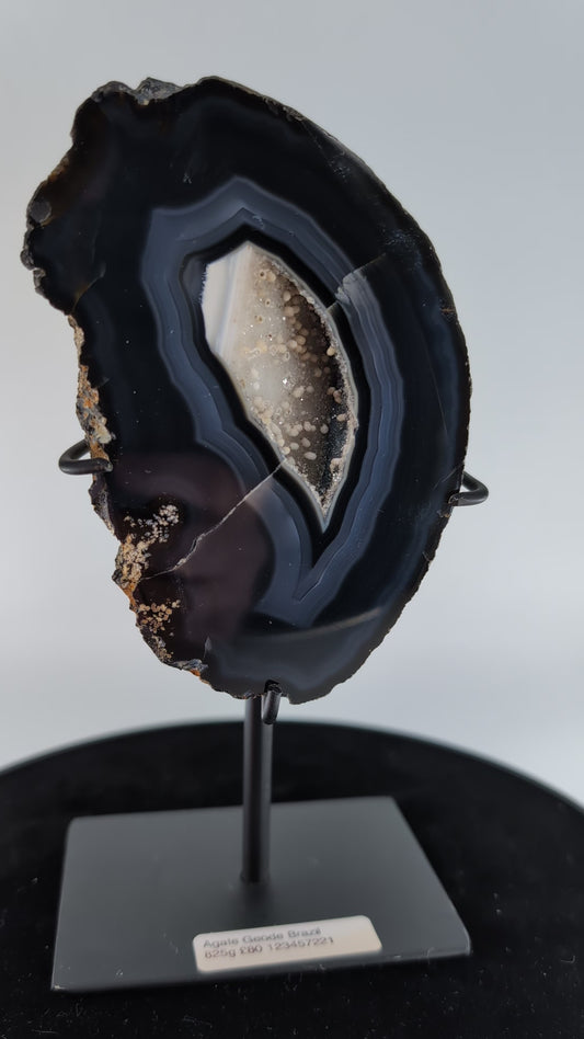 Agate Geode (Brazil) — 825g, On Stand