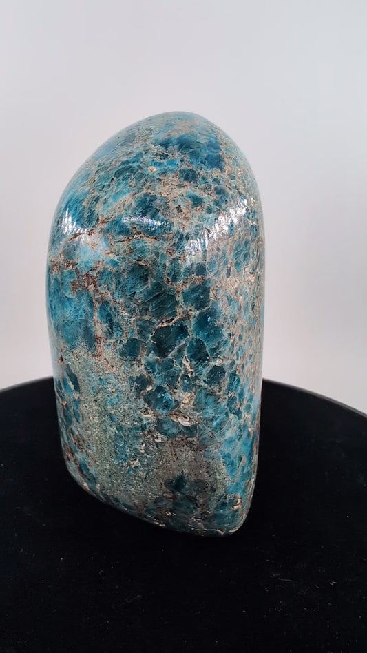 Apatite Freeform 1247g