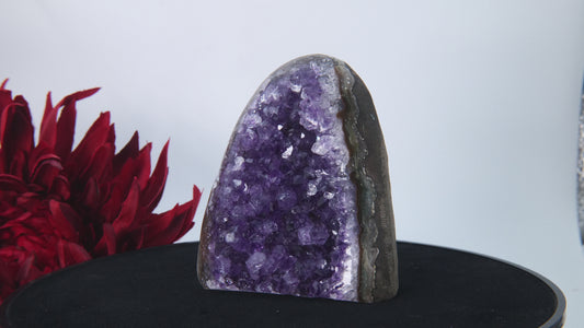 Uruguayan Polished Amethyst Geode – A Grade, 466 g