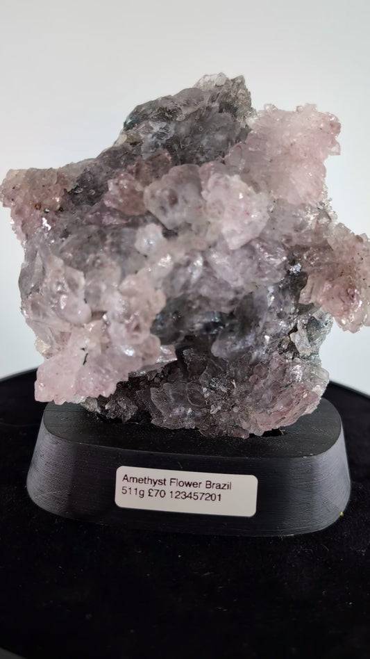 Amethyst Fower Brazil 
