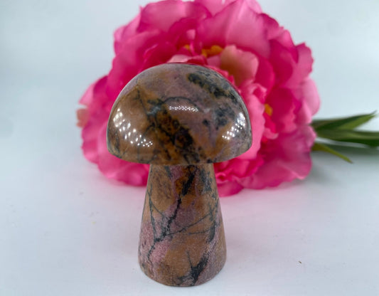 Rhodonite Mushroom 115grams - Positive Faith Hope Love