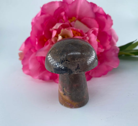 Rhodonite Mushroom 117grams - Positive Faith Hope Love