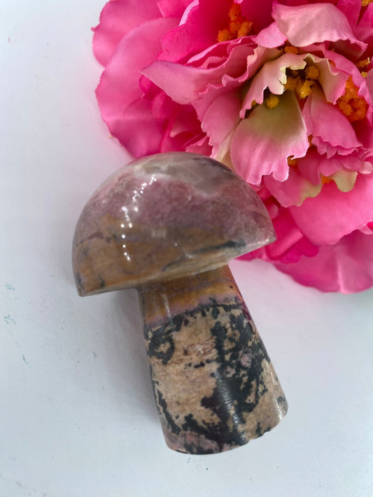 Rhodonite Mushroom 117grams - Positive Faith Hope Love