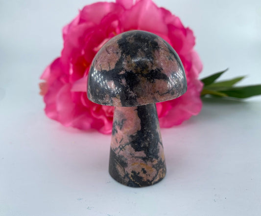 Rhodonite Mushroom 140grams - Positive Faith Hope Love
