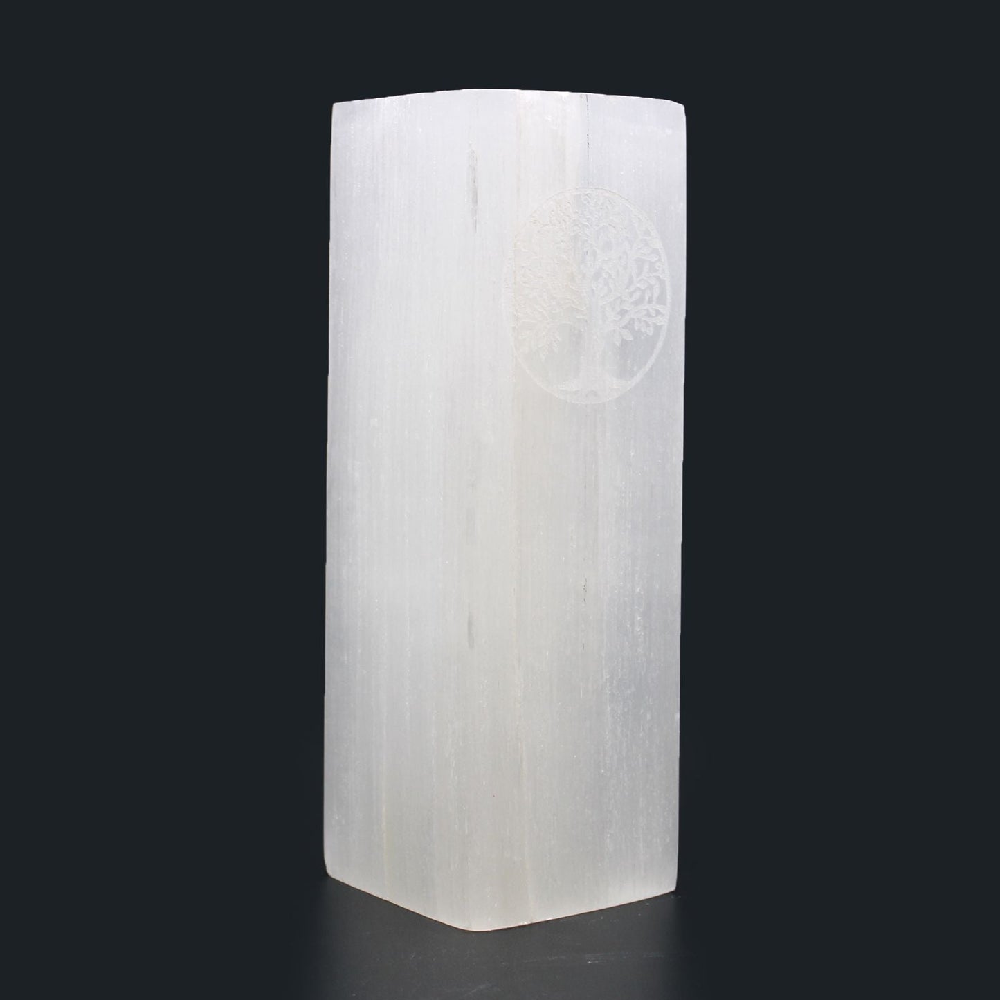 Polished Selenite Block Lamp 25Cm Tree Of Life featuring satin white sheen and fibrous texture - Positive Faith Hope Love