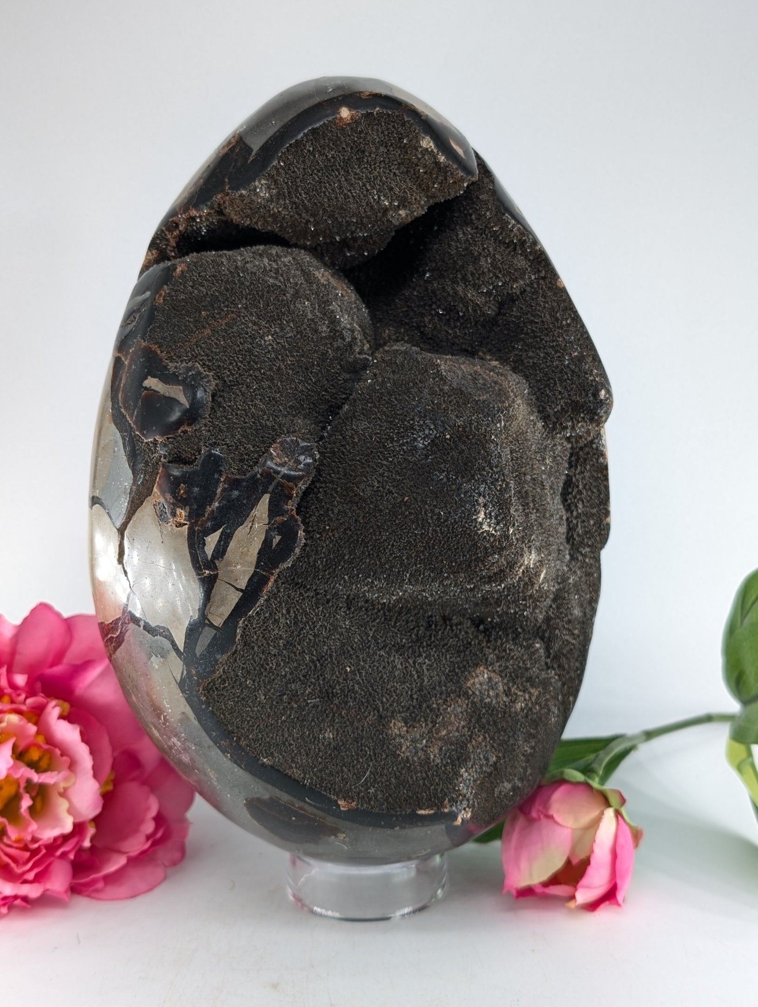 Septarian Egg 4595g - Positive Faith Hope Love