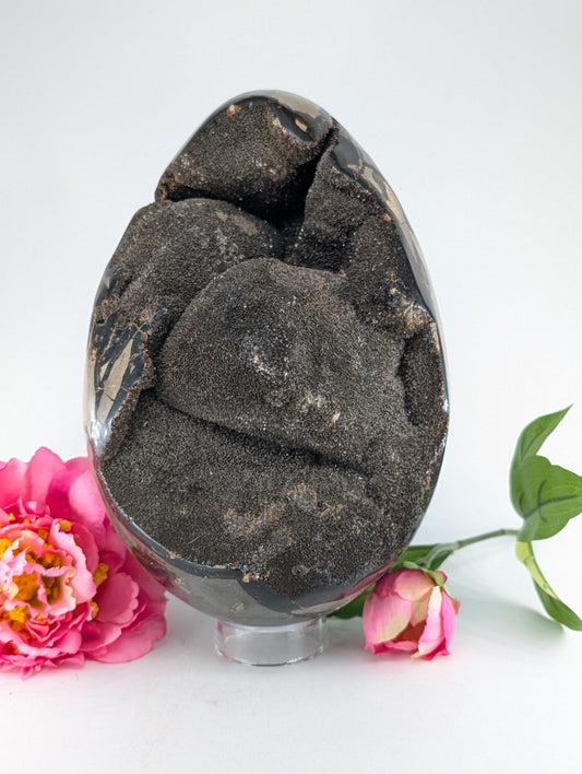 Polished Septarian Egg 4595G featuring natural patterning and unique variations - Positive Faith Hope Love