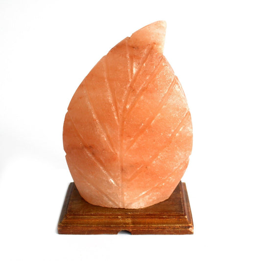 Polished Shape Salt Lamp - Fern featuring natural patterning and unique variations - Positive Faith Hope Love