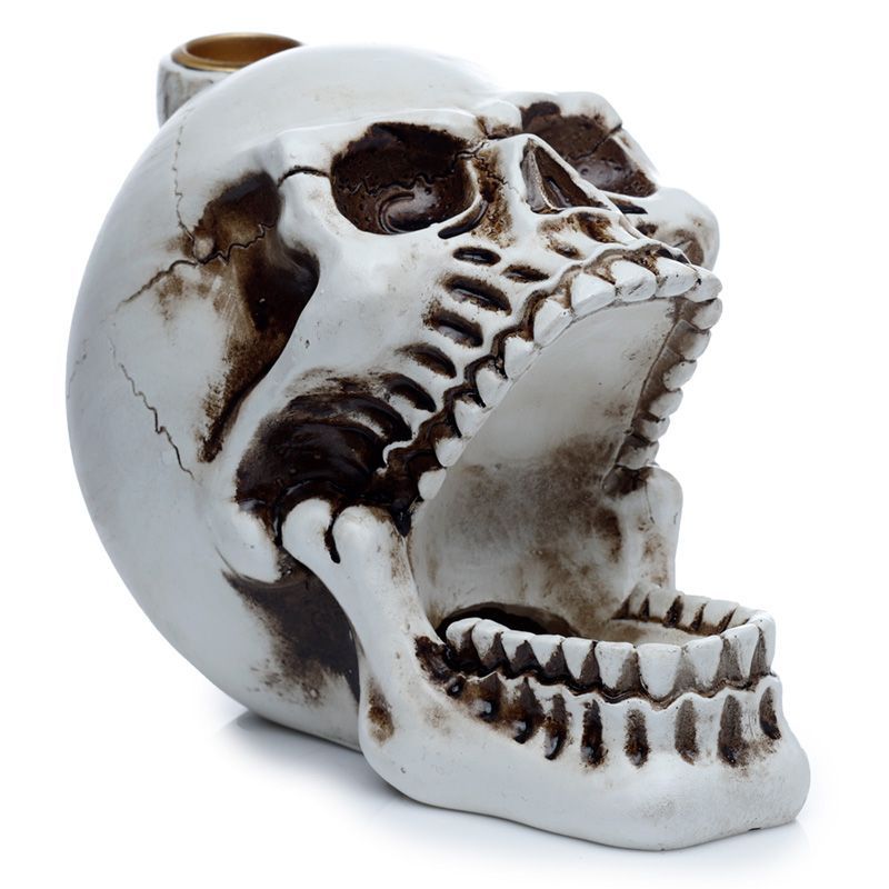 Polished Skull With Open Mouth Backflow Incense Burner featuring natural patterning and unique variations - Positive Faith Hope Love