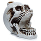 Polished Skull With Open Mouth Backflow Incense Burner featuring natural patterning and unique variations - Positive Faith Hope Love
