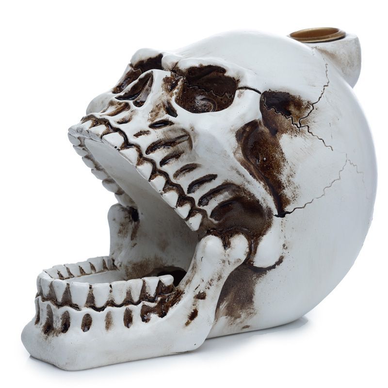 Polished Skull with Open Mouth Backflow Incense Burner featuring natural patterning and unique variations - Positive Faith Hope Love