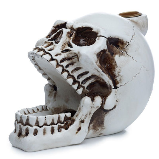 Polished Skull with Open Mouth Backflow Incense Burner featuring natural patterning and unique variations - Positive Faith Hope Love