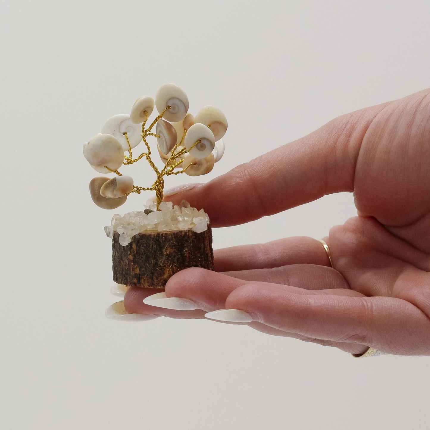 Polished Small Gomati Chakra Circle Stone Tree With Rudraksha 15 Stones featuring natural patterning and unique variations - Positive Faith Hope Love