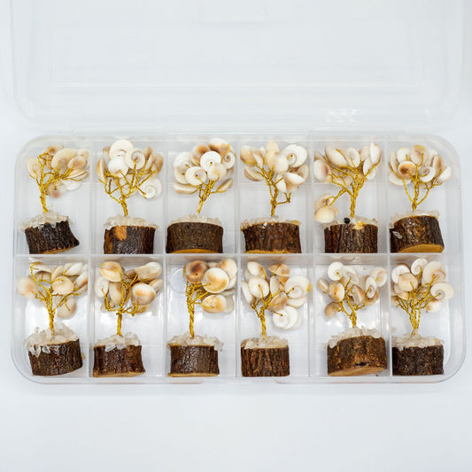 Polished Small Gomati Chakra Circle Stone Tree With Rudraksha 15 Stones featuring natural patterning and unique variations - Positive Faith Hope Love