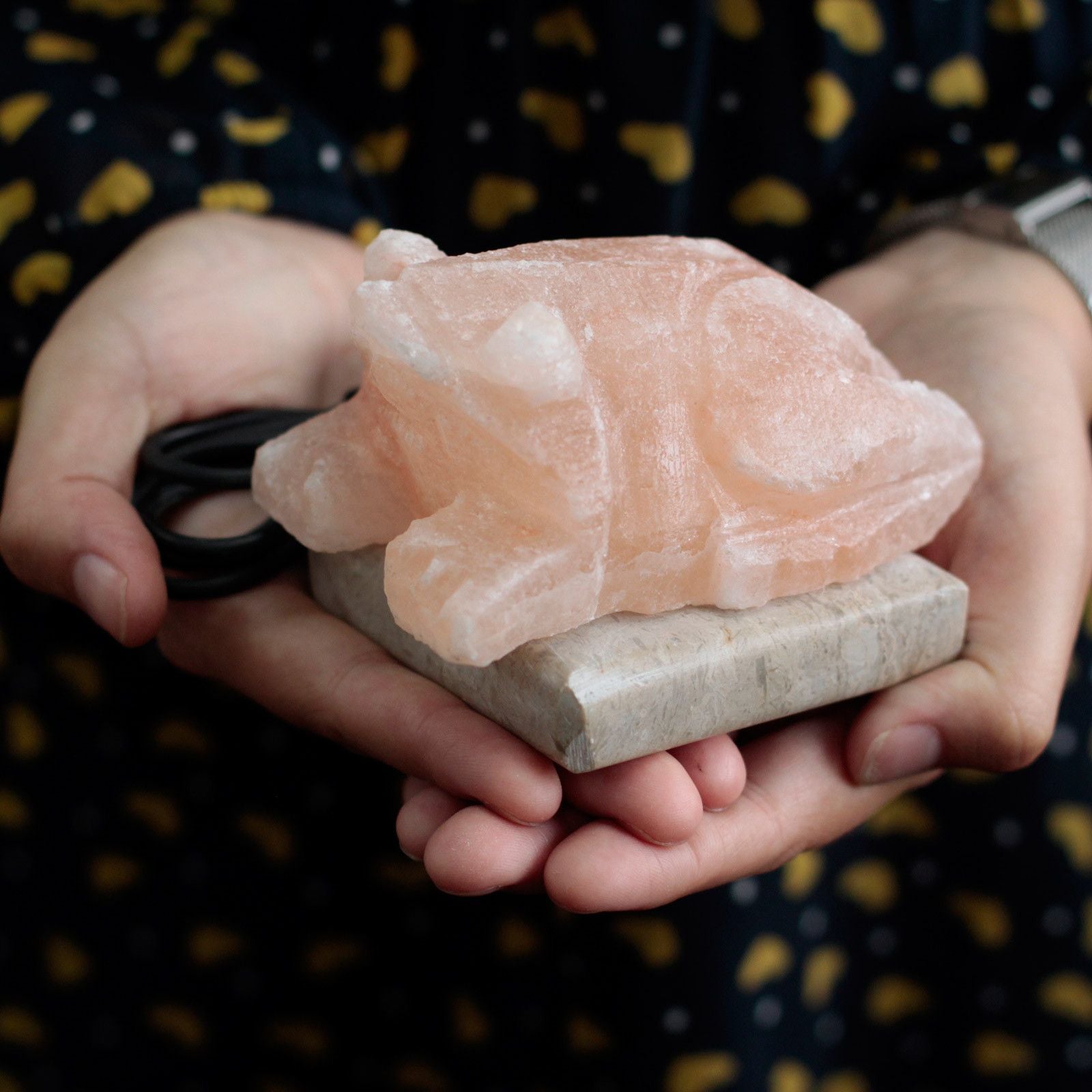 Polished Usb Toad Shaped Multi featuring natural patterning and unique variations - Positive Faith Hope Love